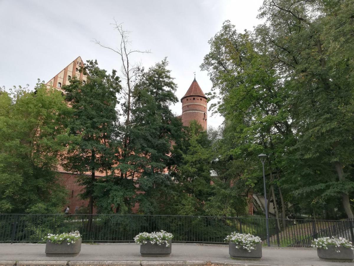 Apartament Familijny Opolznevoye Bagian luar foto