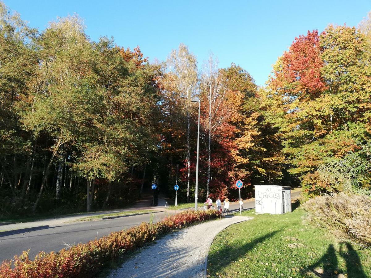 Apartament Familijny Opolznevoye Bagian luar foto